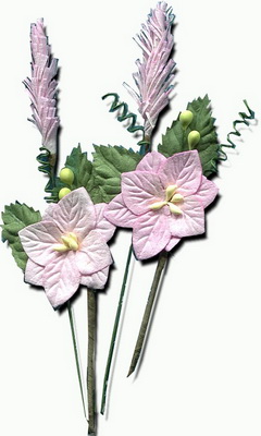 Set of hydrangeas on leaves and sprigs in pastel colours, rose